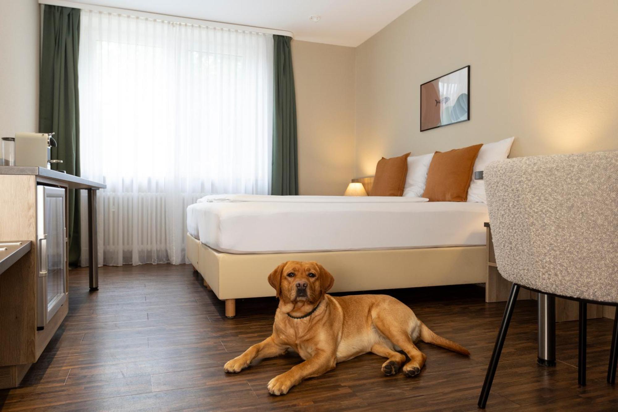Hotel Fischzucht In Wuerzburg מראה חיצוני תמונה